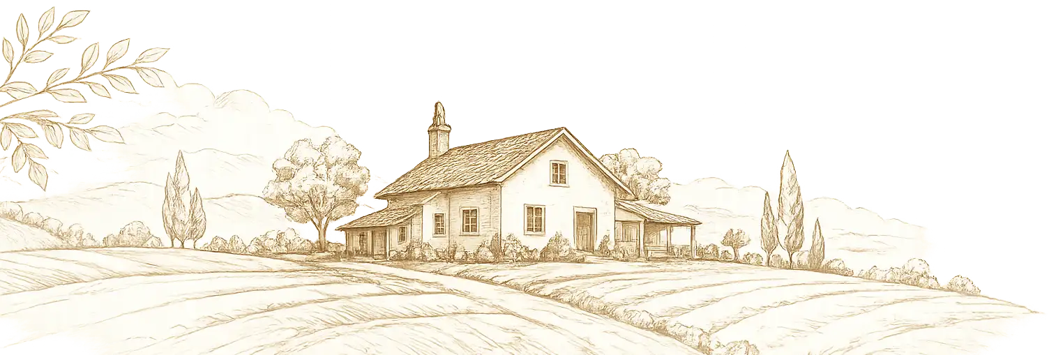 Farmhouse fields illustration